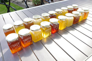 Rows of honey jars